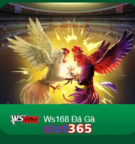 slot365